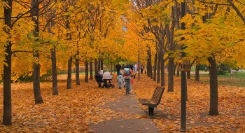 Осень на Ходынке / Москва, Ходынка