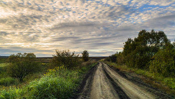 Осенняя дорога / Сюжеты осени