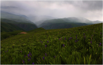 &nbsp; / Могу я хотя-бы по выходным пейзажики показывать? :)