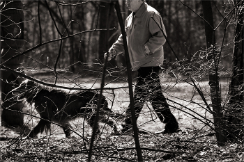 В паутине... / Прогулки в парке.
