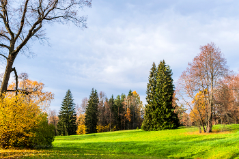 Осень в Павловском парке. / ***