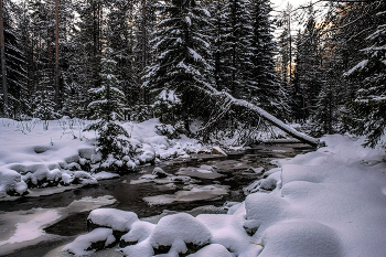 Первый снег / Уральская природа