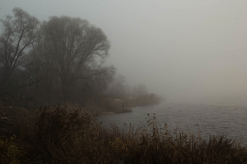 Туманно... / ***