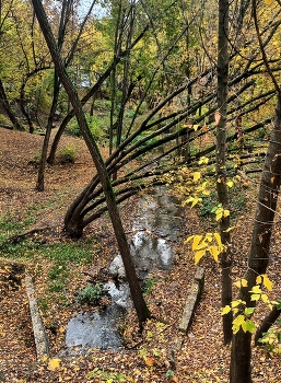 Видное (Московская область) / ***