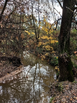 река Журавинка (Московская область) / ***