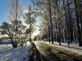 Солнце ноября / Колпино