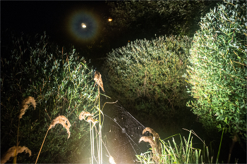 поймать лунный / свет