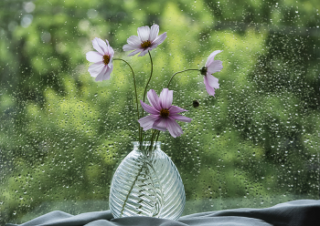 Был за окном июньский дождь... / Летний этюд.