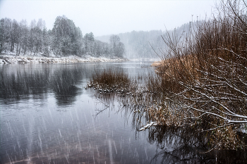 Жизнь вокруг / ***