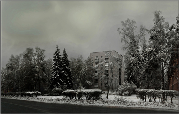 Новосибирский Ноябрь / ***