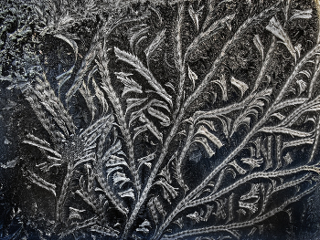 Художник Мороз / Рисует узоры Мороз на оконном стекле