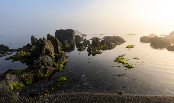 Туман в стране Оз / ***