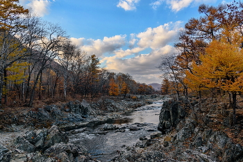 Осеннее... / 10 2025