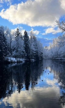 предзимний антураж / ***