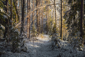 Первоснежный этюд / Межсезонье