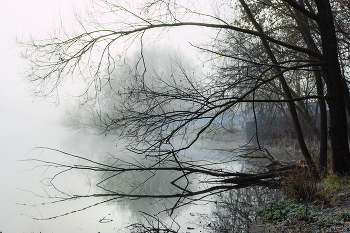 Грустит ноябрь / Осенние туманы