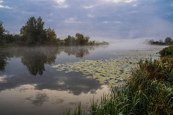 Облачное утро. / Озеро Сосновое.