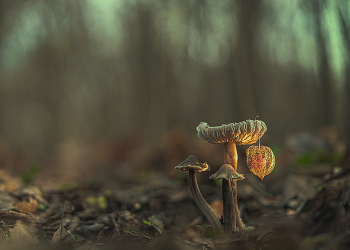 Время зажигать огни / ***