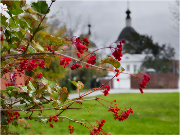 Мимоходом / ***