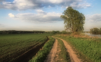 Весенний пригород / Подмосковный сюжет