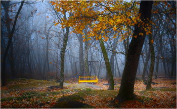 Старый парк / ***