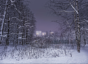 Терлецкий парк / зима