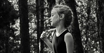 Лесная принцесса / ***