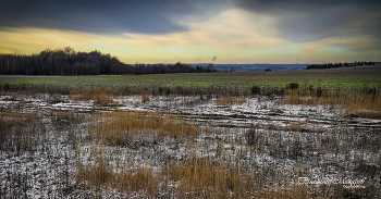 &quot;Озимые в предзимье. Колея&quot;© / осень родные мотивы