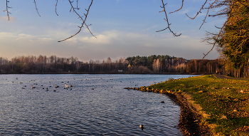 Вечерняя прогулка / Побережье в/х &quot;Дрозды&quot;. Минск.