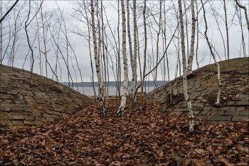 что выросло / то выросло