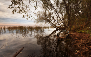 Осень жизни, как и осень года... / ***