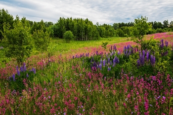 &nbsp; / с.Дубровка,Татарстан,Зеленодольский р-он