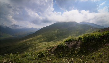 Кавказ / Кавказ