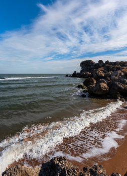 &nbsp; / Азовское море