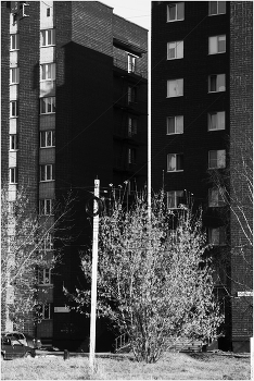 светлая полоса / (ы)