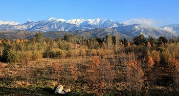 Зима, лето, осень / ***