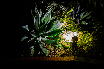 Вдруг из-под ног.... / .....