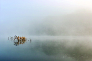 Туманный минимализм / Ноябрьские туманы