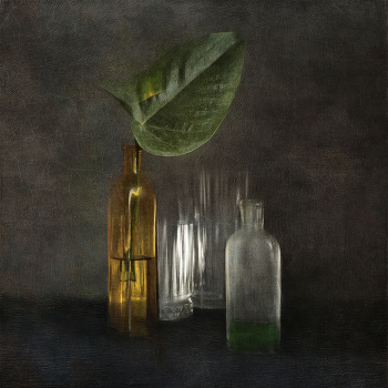 лист / натюрморт