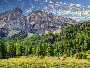 &nbsp; / Estana - Serra de Cadí (Prat Cadí) - Baixa Cerdanya