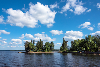 &nbsp; / Выборг. Парк Монрепо.