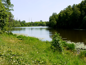 Верхний Кузьминский пруд / Верхний Кузьминский пруд в Кузьминском парке в Москве. Май 2024.
