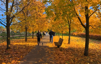 Осень на Ходынке / Москва, Ходынка