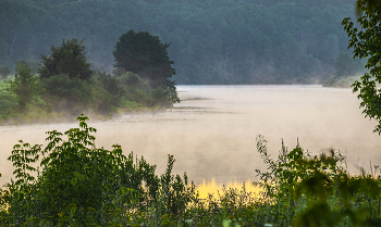 Летнее утро. / Озеро Сосновое.