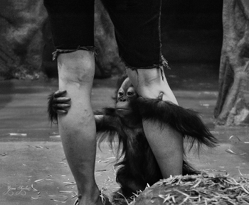 &nbsp; / просто фотка