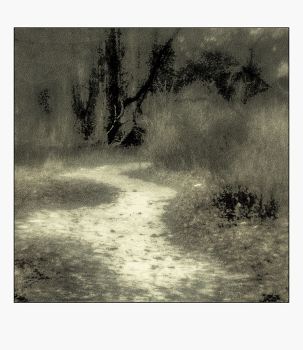 &nbsp; / первый снег