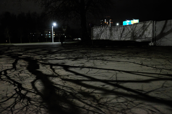 Паутина / ***