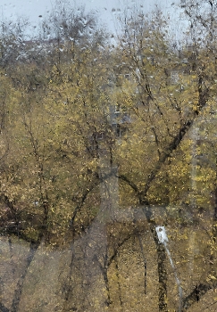 Вот и ноябрь / ***