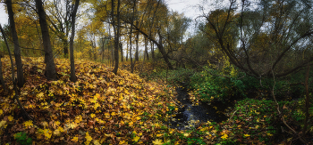 Осень, которая рядом / Октябрь близ баташёвской Тулицы