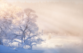 &nbsp; / Истра.